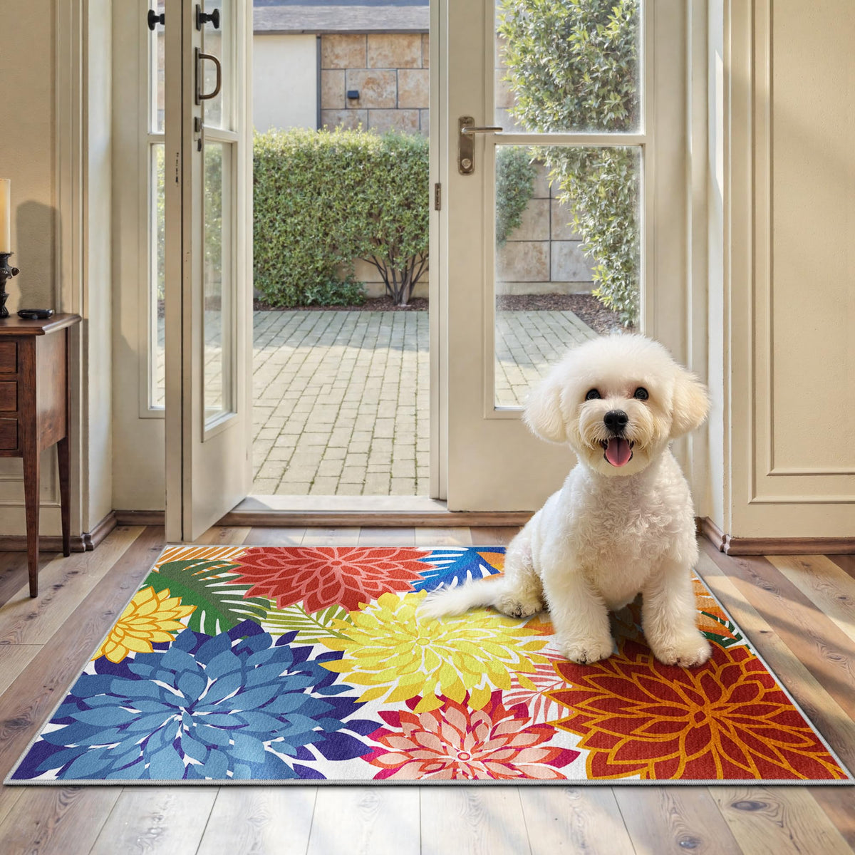 Arenarug Outdoor Rug Waterproof, Washable Patio Rug for Deck, 5x8, Colorful