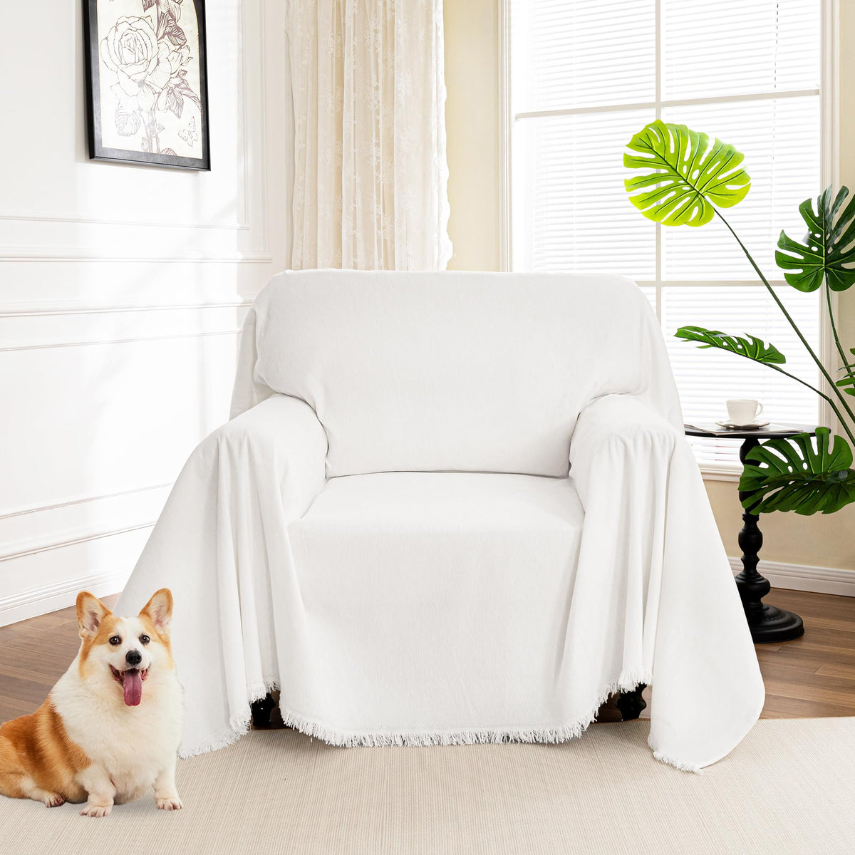 MYSKY HOME Couch Cover for Dogs, Washable Couch Covers, Non Slip Sofa Cover, Couch Cover 2 Cushion Sofa Dogs Furniture Protector with Tassels, Chenille Sofa Slipcover for Pets, 71"x118", Dark Grey