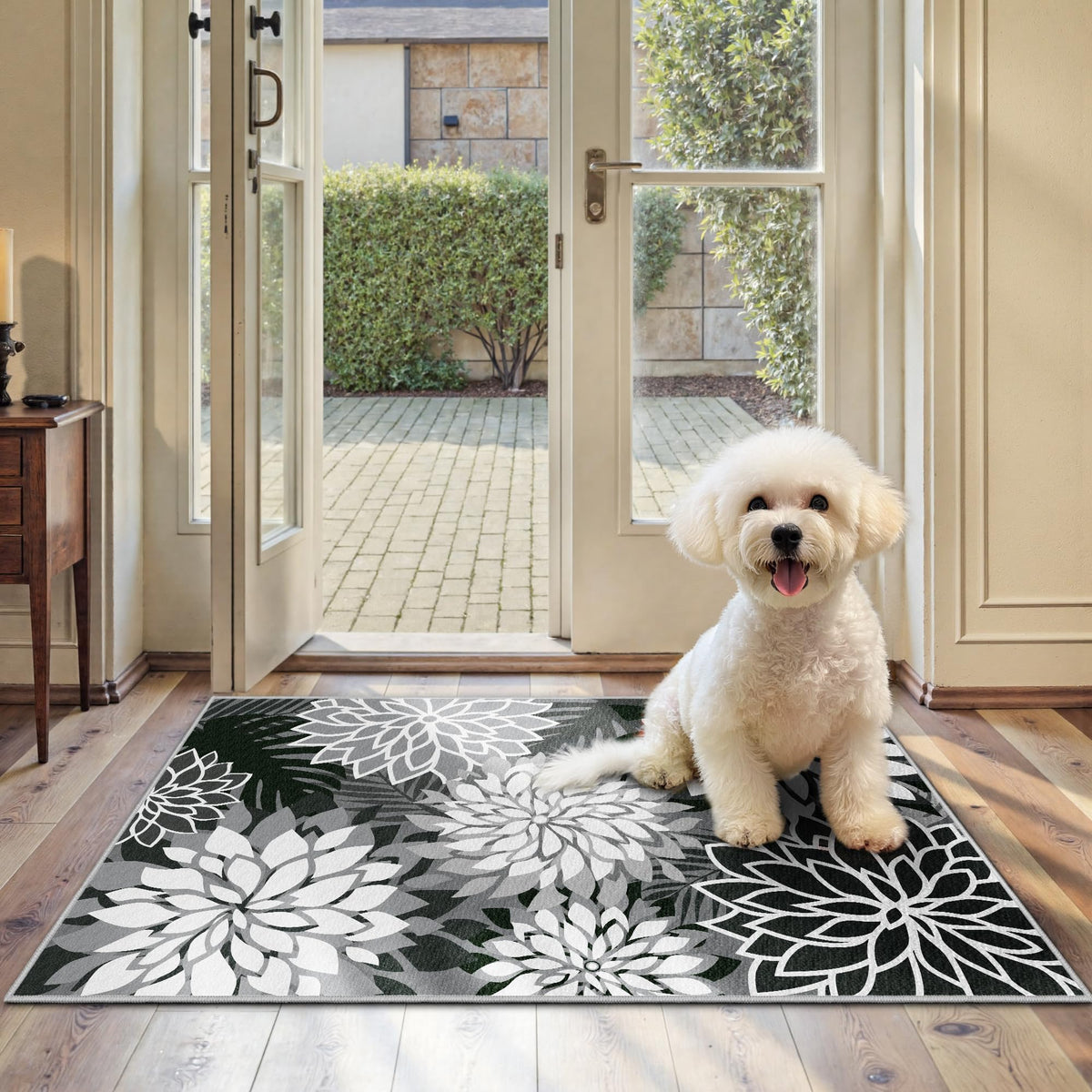 Arenarug Outdoor Rug Waterproof, Washable Patio Rug for Deck, 5x8, Colorful