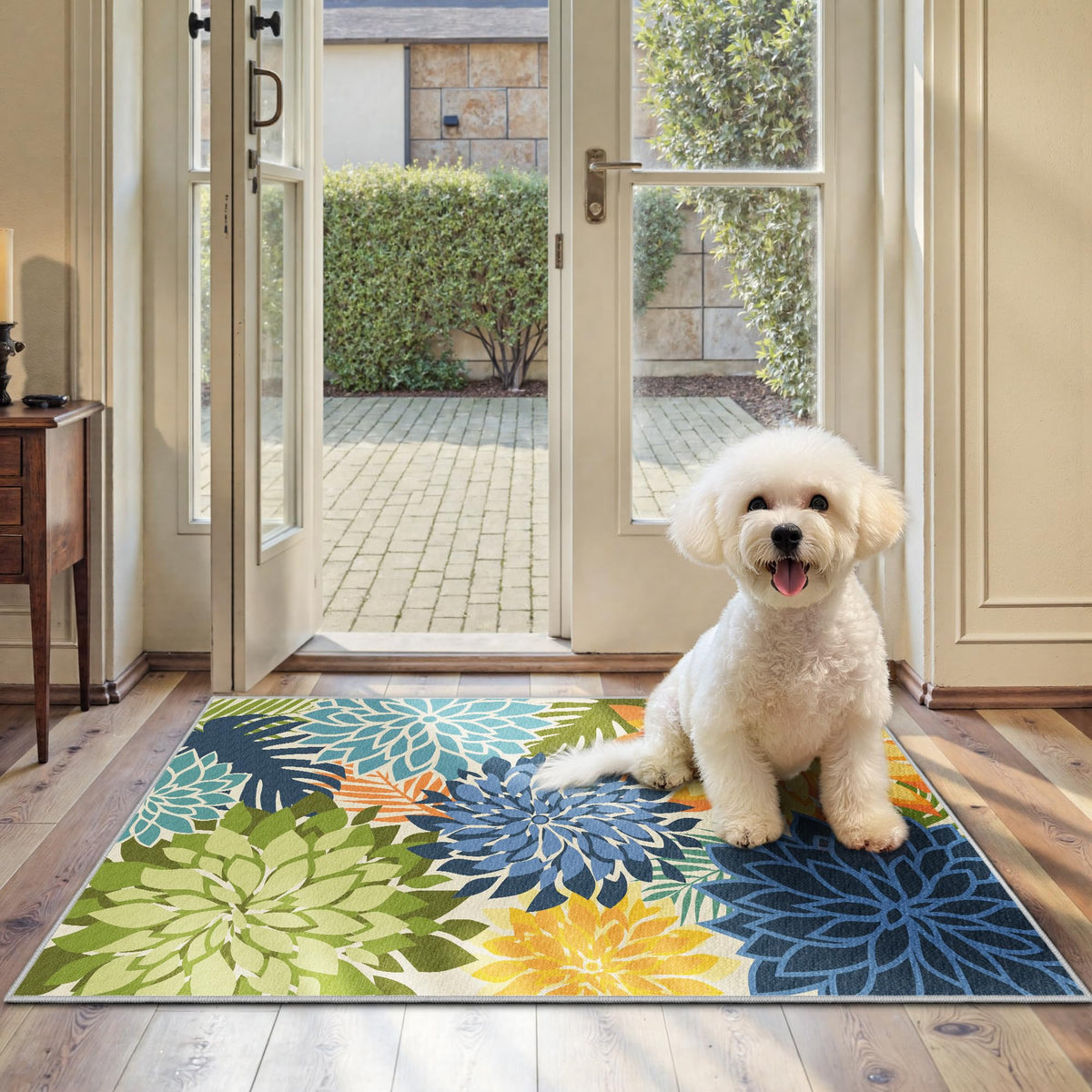 Arenarug Outdoor Rug Waterproof, Washable Patio Rug for Deck, 5x8, Colorful
