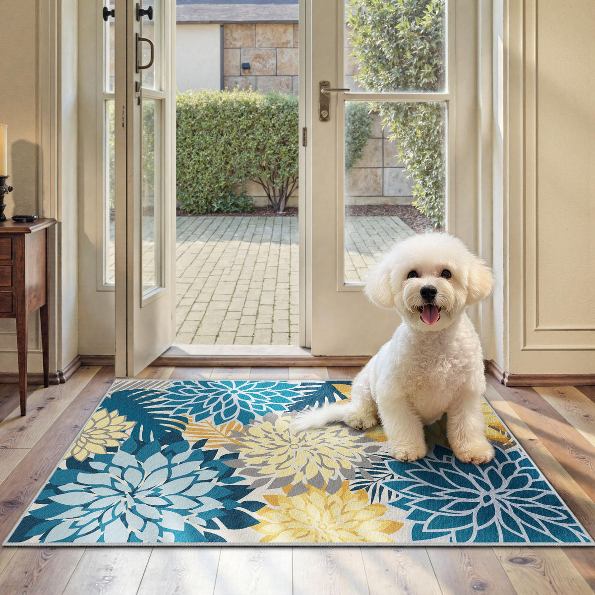 Arenarug Outdoor Rug Waterproof, Washable Patio Rug for Deck, 5x8, Colorful