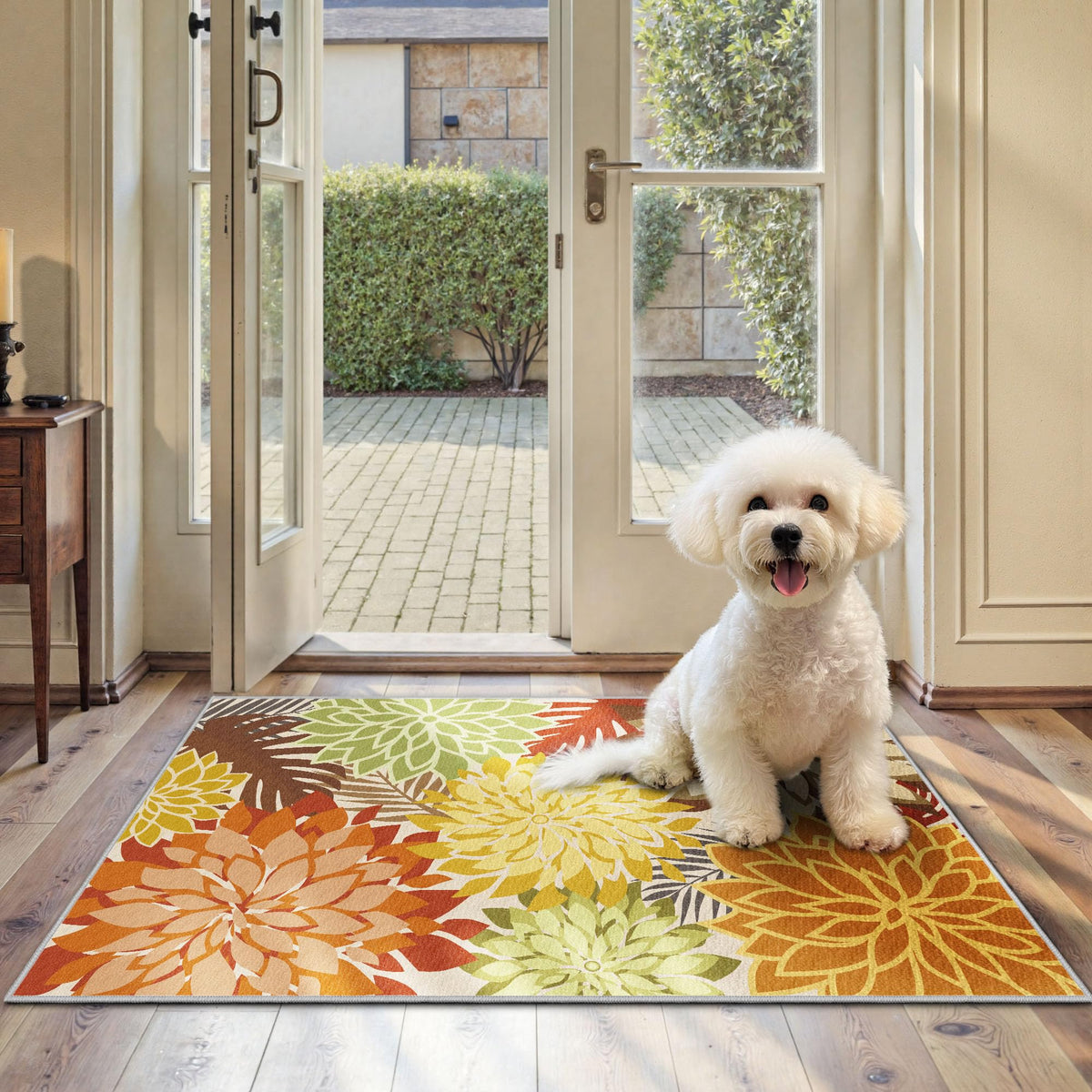 Arenarug Outdoor Rug Waterproof, Washable Patio Rug for Deck, 5x8, Colorful
