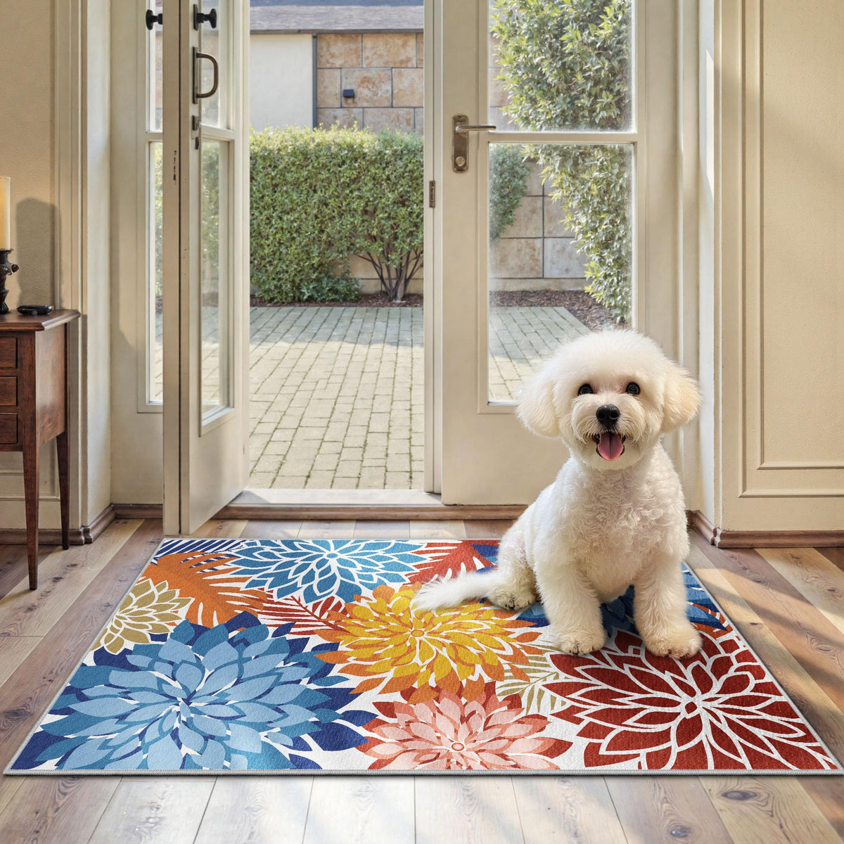Arenarug Outdoor Rug Waterproof, Washable Patio Rug for Deck, 5x8, Colorful